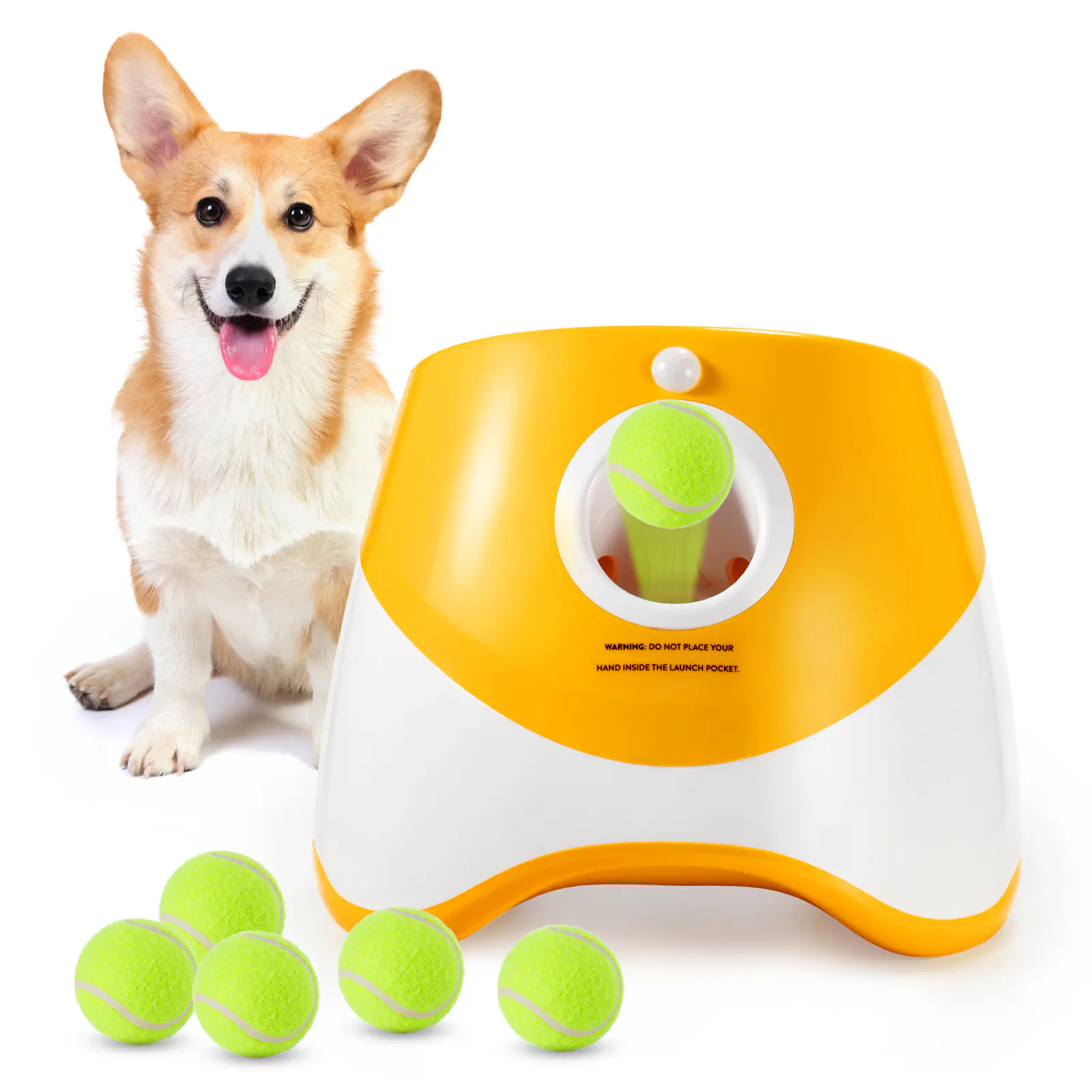 Wholesale Automatic Ball Launcher for Dogs